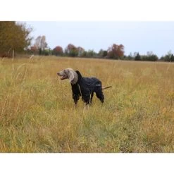 RukkaPets Protect Overall -Haustierzubehör rukkapets protect overall zwart 216401 0500 none