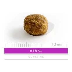 SANIMED Renal/Liver/Stones Dog -Haustierzubehör sanimed renalliverstones dog 159284 0500 none