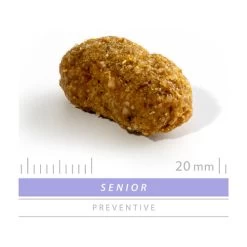 SANIMED Senior Dog -Haustierzubehör sanimed senior dog 159248 0500 none