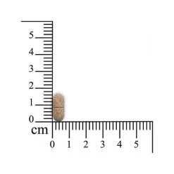 Omniderma Pferd -Haustierzubehör sensipharm omniderma paard 174766 0500 none