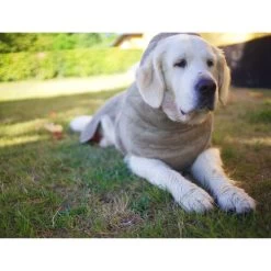 Siccaro WetDog SupremePro -Haustierzubehör siccaro wetdog supremepro 20 216998 0500 none