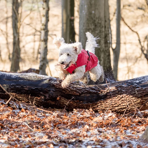 Trixie Regenjacke Vimy 5 Trixie Regenjacke Vimy – Bild 3