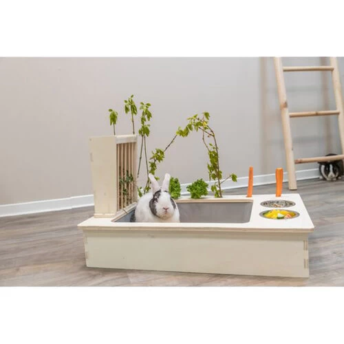 Trixie Futterstation Für Nager 6 Trixie Futterstation Für Nager – Bild 4