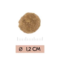 Vetality Gastrointestinal Low Fat - Hundefutter -Haustierzubehör vetality gastrointestinal low fat hondenvoer 195467 0500 none