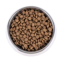 Vetality Hypoallergenic - Hundefutter -Haustierzubehör vetality hypoallergenic hondenvoer 195278 0500 none