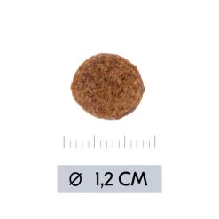 Vetality Hypoallergenic - Hundefutter -Haustierzubehör vetality hypoallergenic hondenvoer 195473 0500 none