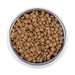 Vetality Skin Support - Hundefutter -Haustierzubehör vetality skin support hondenvoer 195221 0500 none