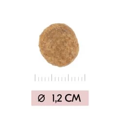 Vetality Skin Support - Hundefutter -Haustierzubehör vetality skin support hondenvoer 195452 0500 none