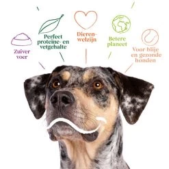 Yarrah - Bio Trockenfutter Vega Getreidefrei -Haustierzubehör yarrah bio droogvoer hond vega graanvrij 201212 0500 none