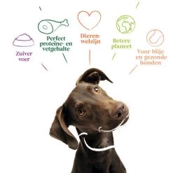 Yarrah - Getreidefreies Trockenfutter Bio 9 Yarrah - Getreidefreies Trockenfutter Bio -Haustierzubehör yarrah droogvoer hond graanvrij bio 201170 0500 none