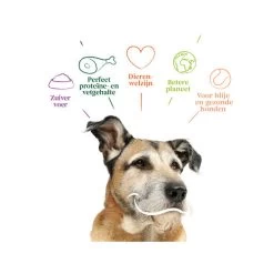 Yarrah - Trockenfutter Senior Mit Huhn, Fisch Und Kräutern Bio -Haustierzubehör yarrah droogvoer hond senior bio 201146 0500 none