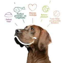 Yarrah - Trockenfutter Sensitiv Mit Huhn Und Reis Bio 9 Yarrah - Trockenfutter Sensitiv Mit Huhn Und Reis Bio -Haustierzubehör yarrah droogvoer hond sensitive bio 199148 0500 none