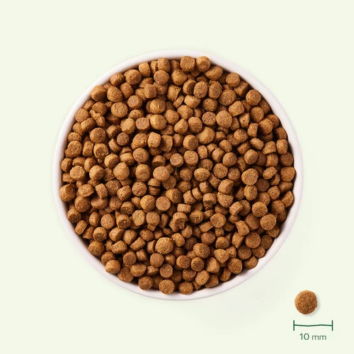 Yarrah - Trockenfutter Für Kleine Rassen Mit Huhn Bio 5 Yarrah - Trockenfutter Für Kleine Rassen Mit Huhn Bio – Bild 3