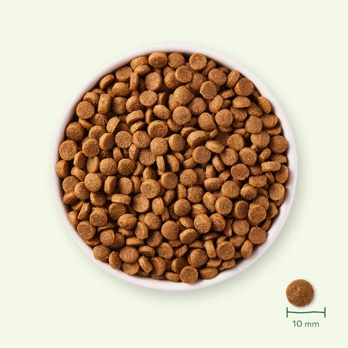 Yarrah - Trockenfutter Für Welpen Mit Huhn Bio 5 Yarrah - Trockenfutter Für Welpen Mit Huhn Bio – Bild 3