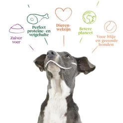 Yarrah - Hundefutter In Soße Rind Mit Petersilie & Thymian Bio 11 Yarrah - Hundefutter In Soße Rind Mit Petersilie & Thymian Bio -Haustierzubehör yarrah natvoer hond kuipje chunks met rund bio 201050 0500 none