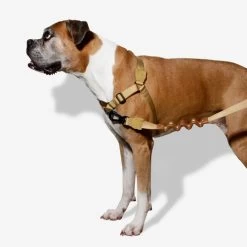 Zee.Dog Soft Walk Harness -Haustierzubehör zeedog soft walk harness 200678 0500 none