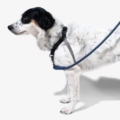 Zee.Dog Soft Walk Harness -Haustierzubehör zeedog soft walk harness 200684 0500 none