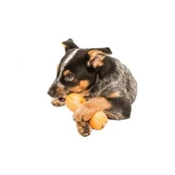 Zogoflex Qwizl -Haustierzubehör zogoflex qwizl 136852 0500 none