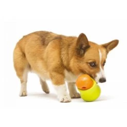 Zogoflex Toppl - Treat Toy -Haustierzubehör zogoflex toppl treat toy 219464 0500 none